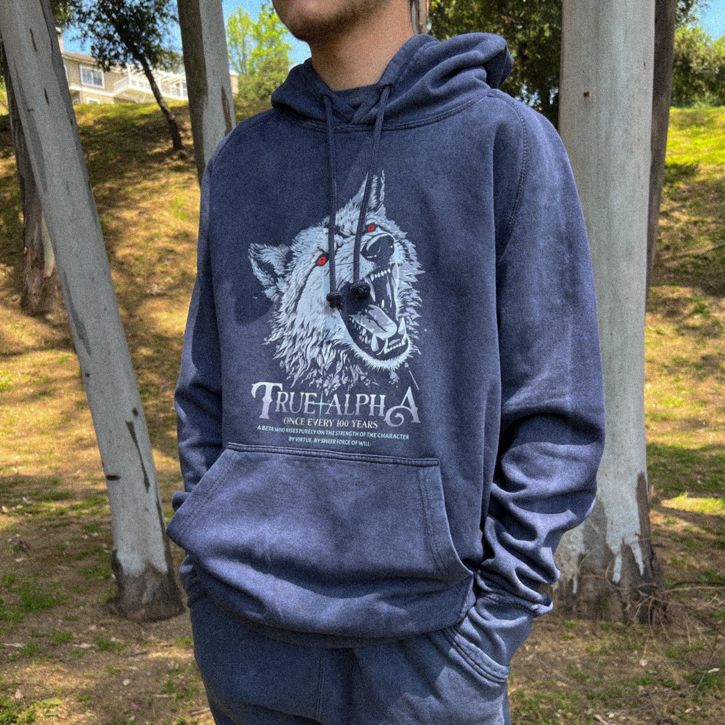 True Alpha Hoodie