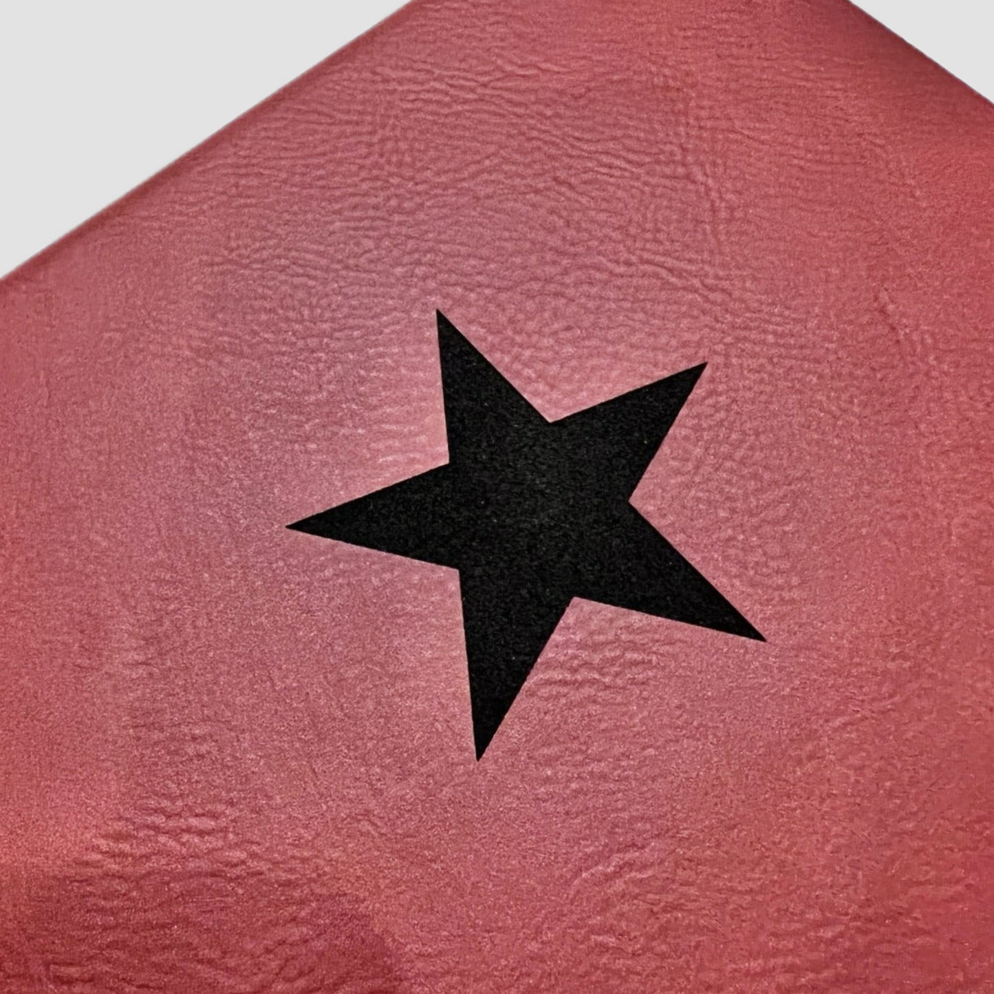 Bucky Journal