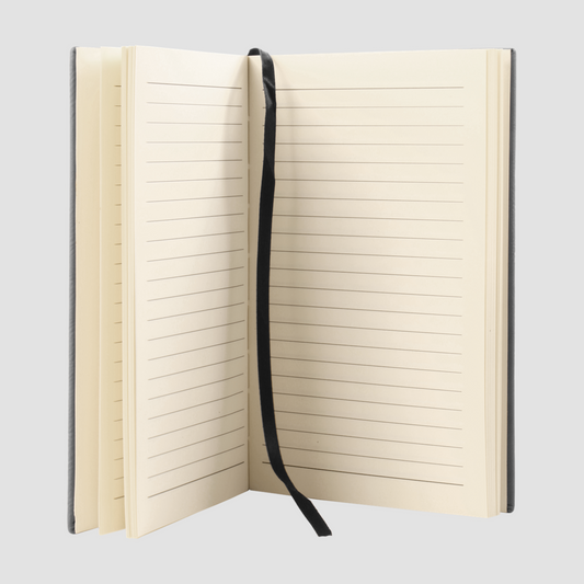 P4L Journal