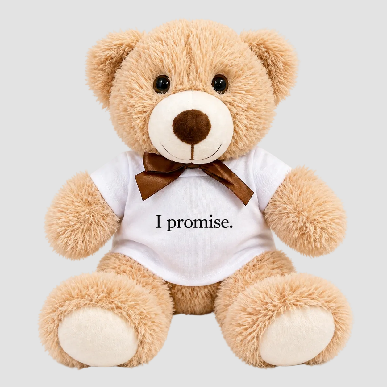 I Promise Teddy Bear