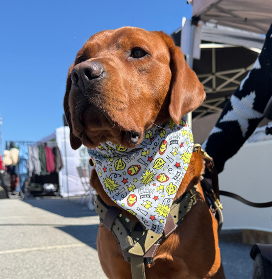 Iron Man - Pet Bandana