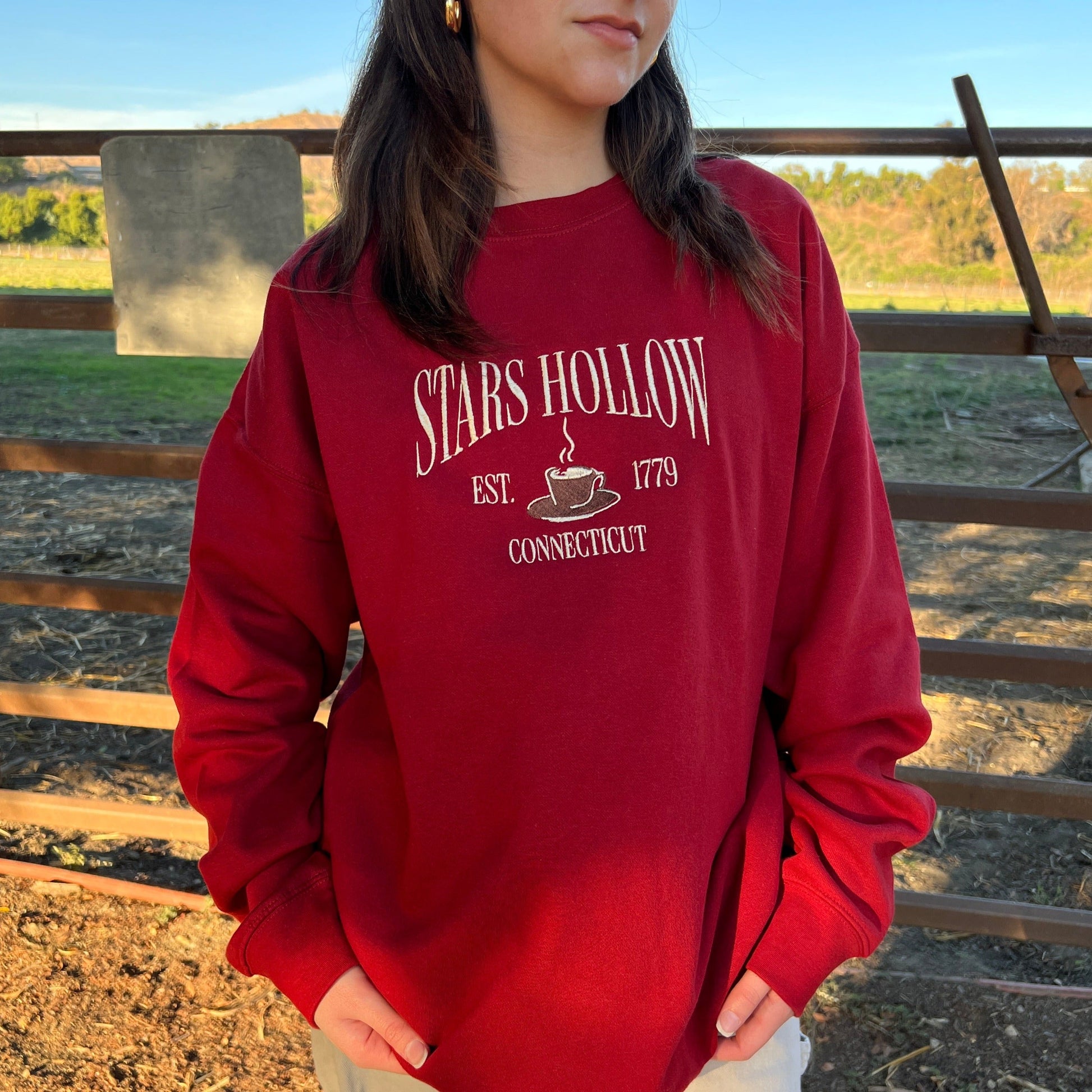 Stars Hollow Embroidered Crewneck Xs / Red Sweater