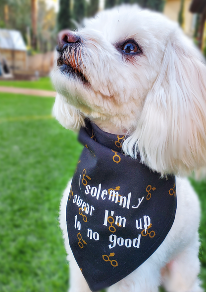 I Solemnly Swear I'm Up To No Good - Pet Bandana