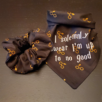 I Solemnly Swear I'm Up To No Good - Pet Bandana