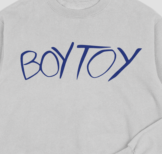 Gray sweatshirt with 'BOY TOY' text in blue on a white background