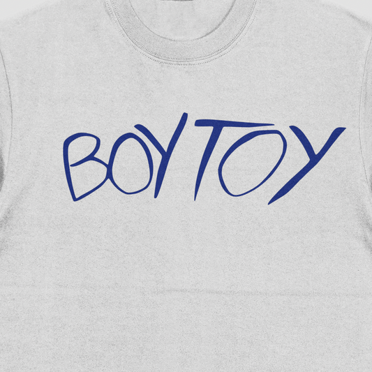 Gray sweatshirt with 'BOY TOY' in blue text on a white background