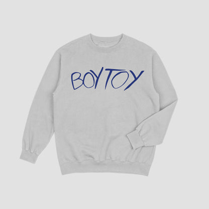 Gray sweatshirt with 'BOYTOY' text in blue on a light gray background