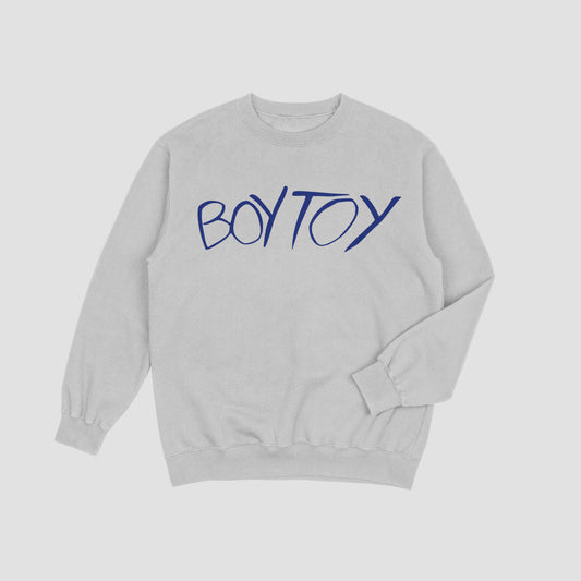 Gray sweatshirt with 'BOYTOY' text in blue on a light gray background