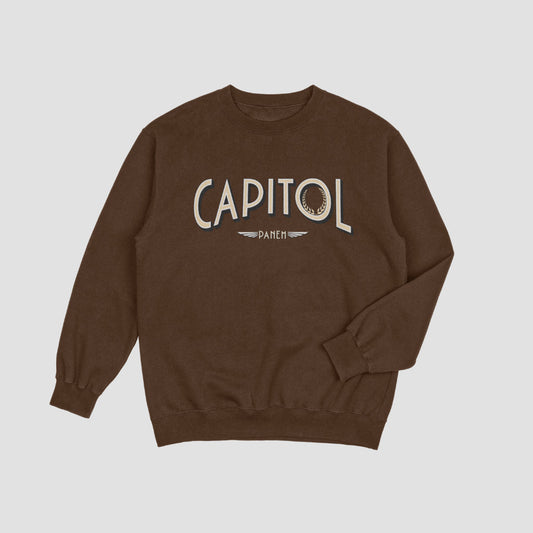 Capitol Crewneck Xs / Chestnut Brown Sweater