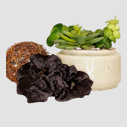 Black Velour Hair Scrunchie