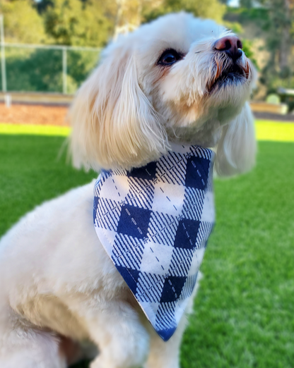 Blue And White Checkered - Pet Bandana