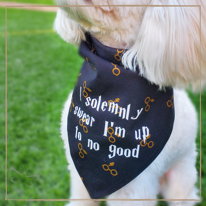 I Solemnly Swear I'm Up To No Good - Pet Bandana