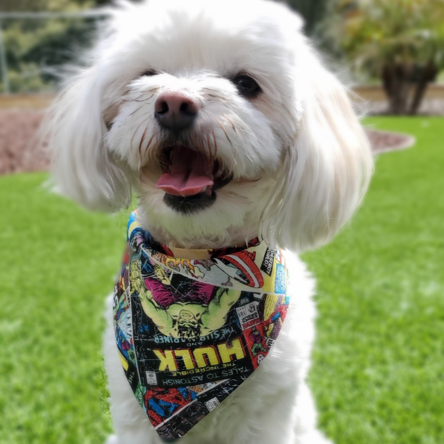 Firefly Superhero Pet Bandana Firefly Shop